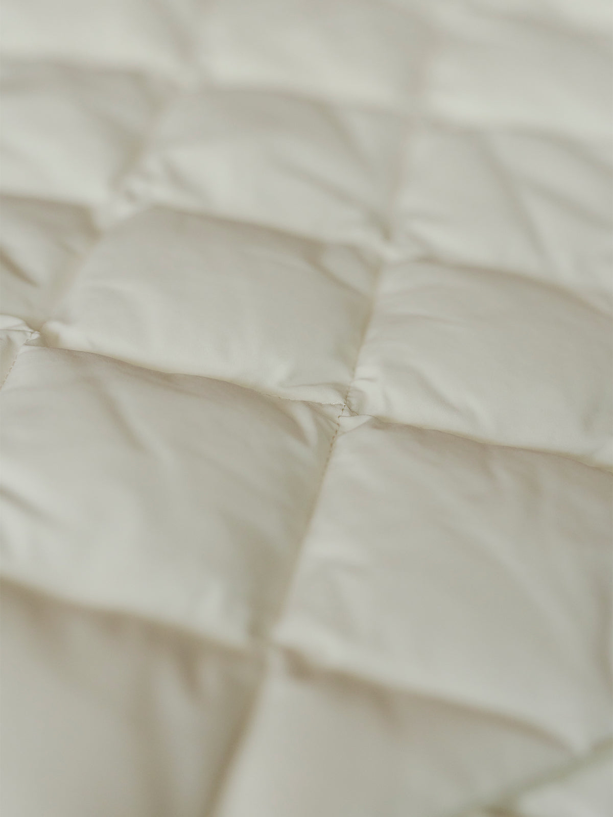 COLOR:IVORY